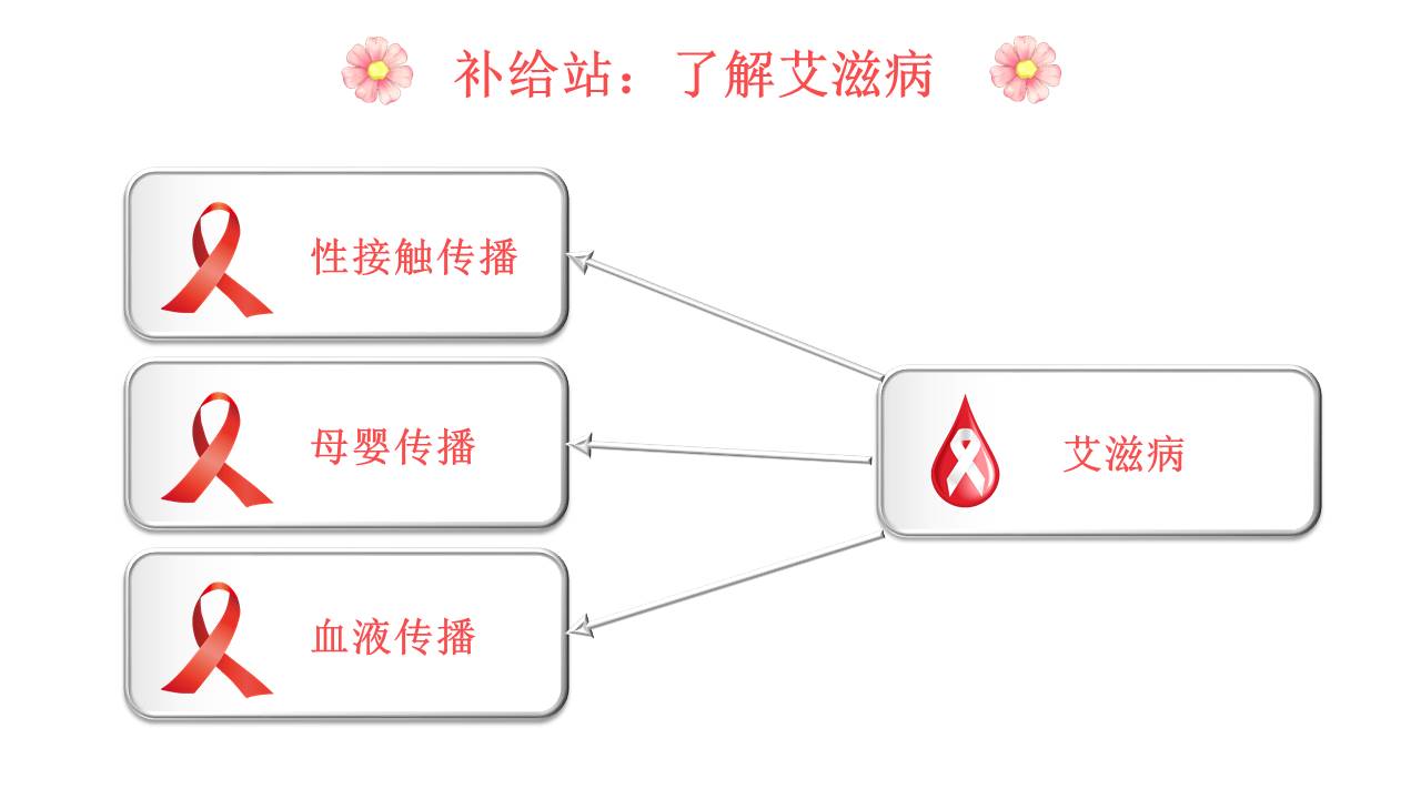 安全教育 (12).pptx